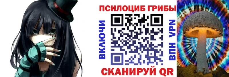 где найти наркотики  Шарья  Галлюциногенные грибы мицелий 